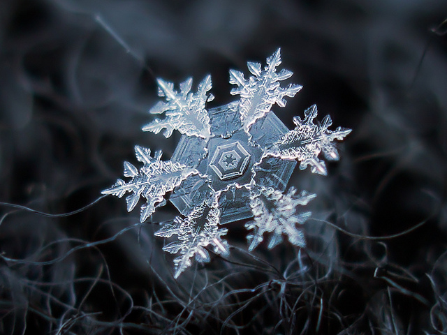 snowflakes-macro-photo13